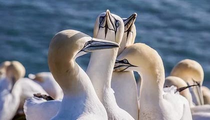 开云入口：云端治理与创新的入口之道